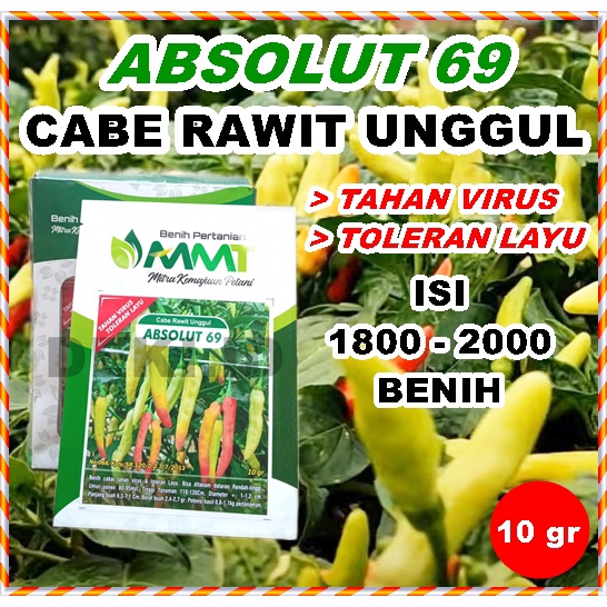 Benih Cabe Absolut 69 Rawit Unggul 10 Gram Bibit Cabai MMT