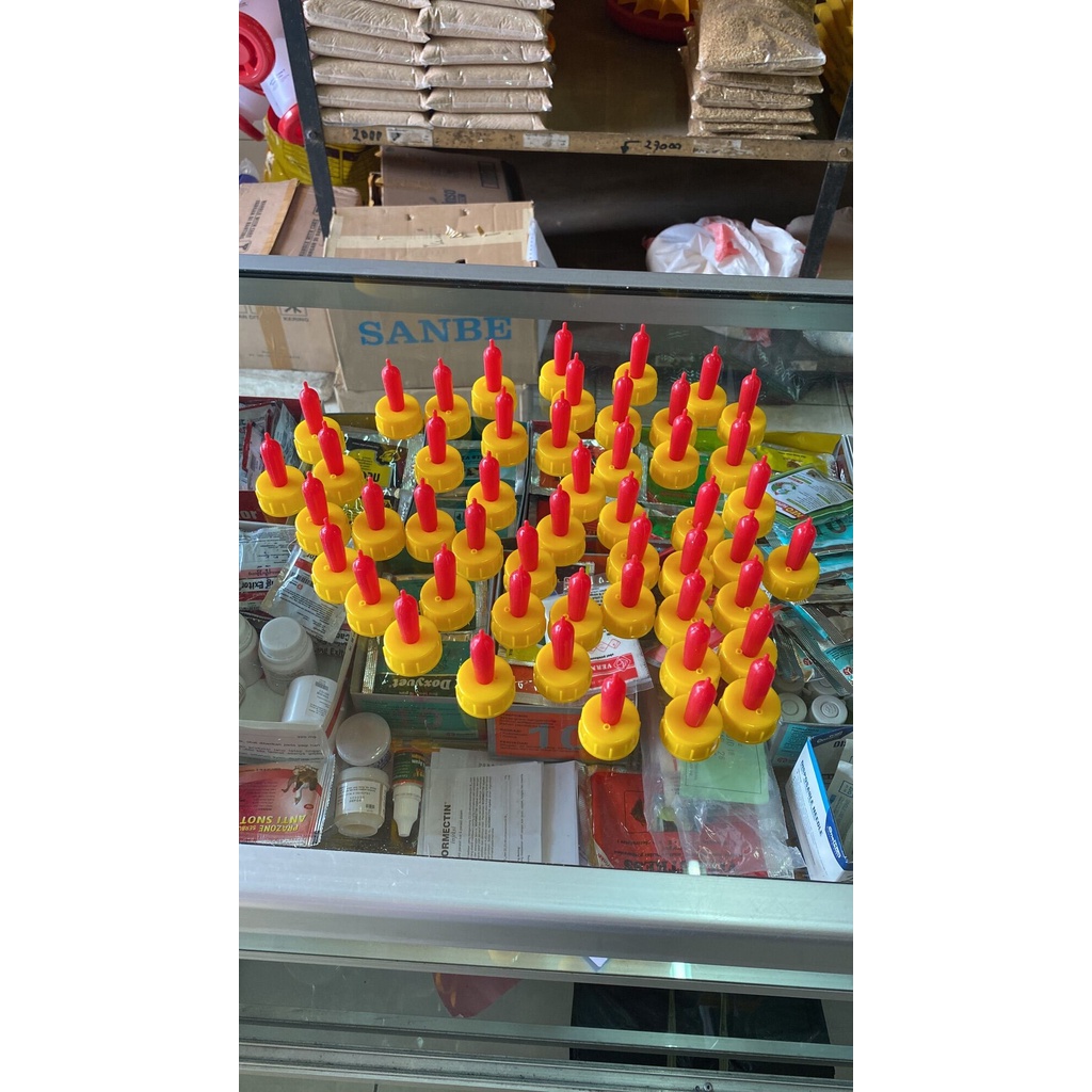 dot hewan anak kambing sapi anjing kucing kelinci monyet cempe pedet keledai kerbau hewan dot anak a