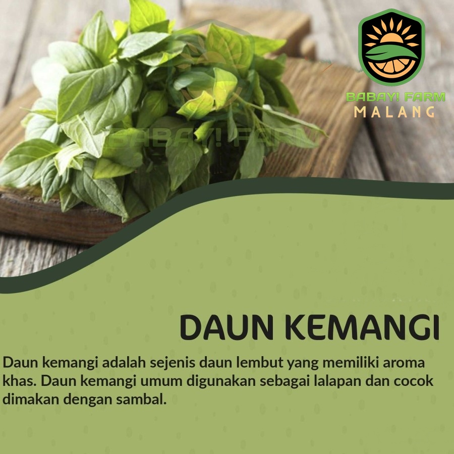 

daun kemangi 1 ikat