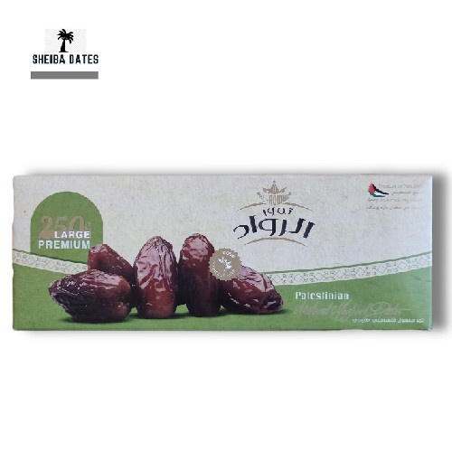 

PREMIUM KURMA MEDJOL JUMBO PALESTINE 500GRAM - 2KG