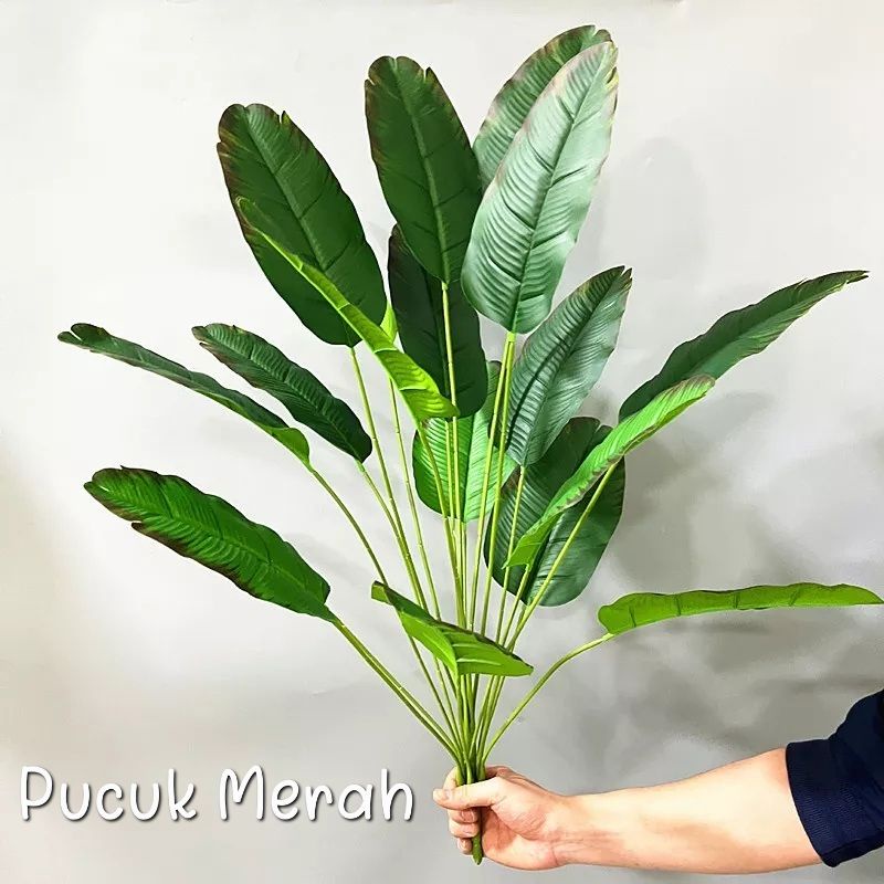 Pohon Pisang Tinggi 1 meter x24 Daun ( TANPA POT )