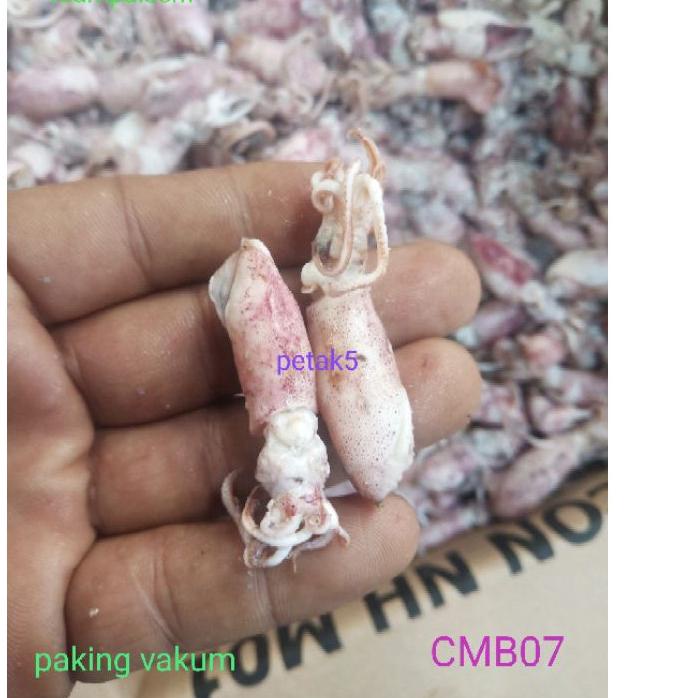 

Discount [HJ6] Cumi asin beby 1kg/ cumi asin baby/cumi asin rebus/cumi asin kecil