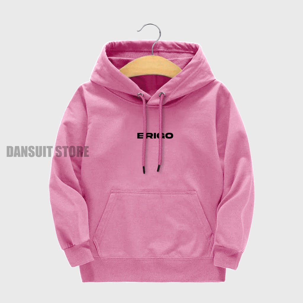 Sweater Hoodie Anak Laki-laki/Perempuan Usia 4-13 Tahun Hoodie Anak Motif Logo ERIGO Bahan Tebal Premium