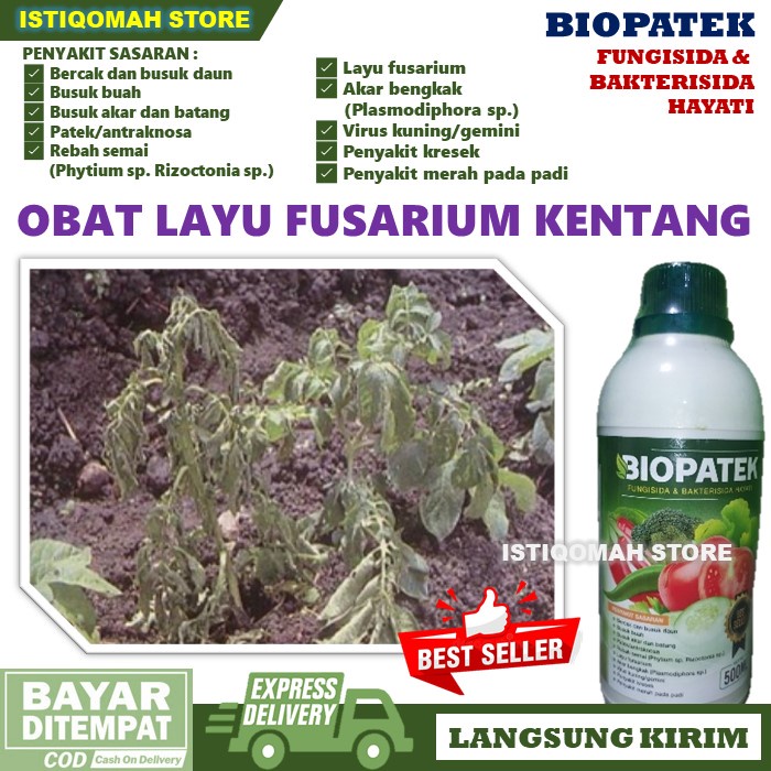 Jual Promo Cod Bayar Di Rumah Obat Layu Fusarium Tanaman Kentang Paling Ampuh Biopatek 500ml 