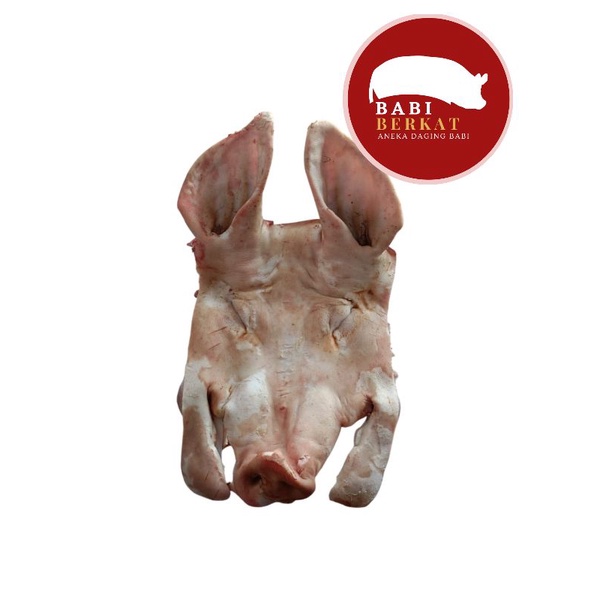 

Babi Berkat - PIG Kepala Babi telinga kuping hidung Cingur BB CU NYUK CUNYUK Segar DAGING HAM PORK LARD BAK Sidoarjo SBY per 1pc
