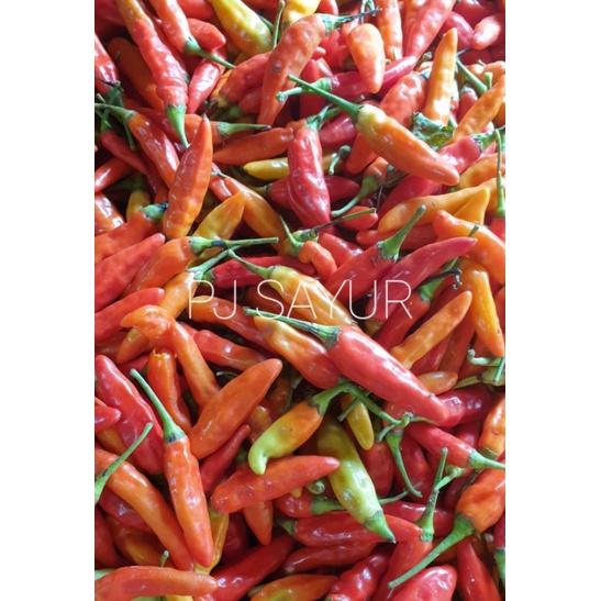 cabe rawit merah / cabe setan 1 kg