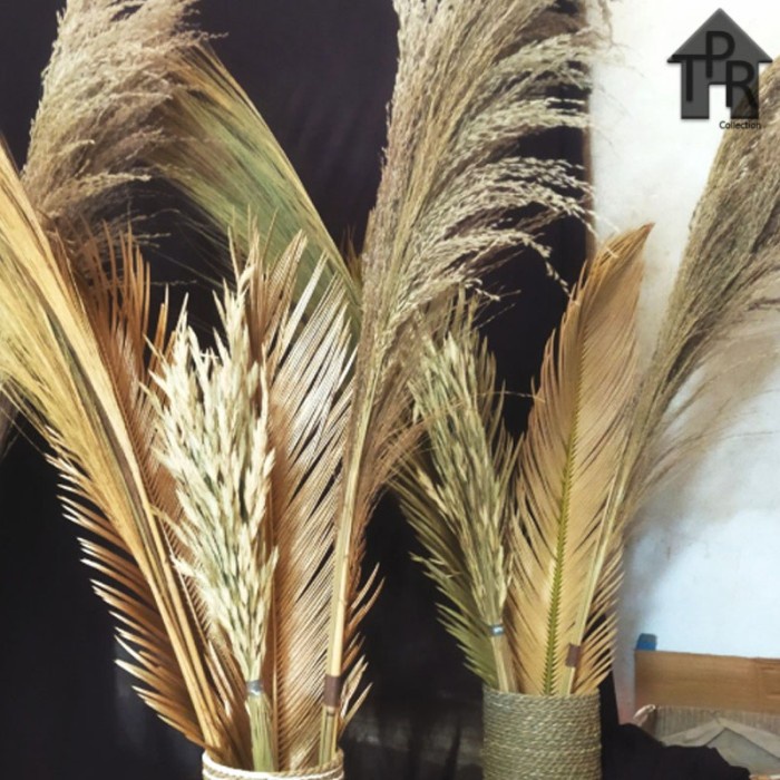Daun Sikas Kering Dekorasi Pajangan Bunga Kering / Daun Mawar Jambe