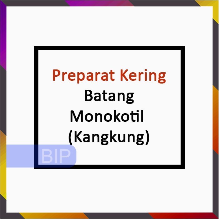 PREPARAT KERING BATANG MONOKOTIL (KANGKUNG)