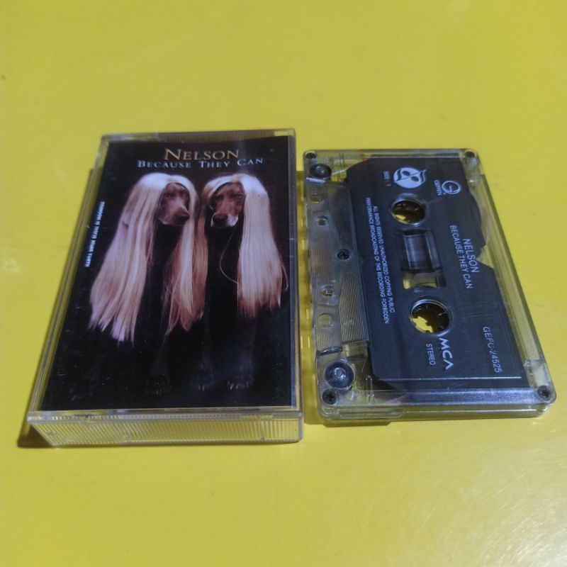 Kaset NELSON Because They Can