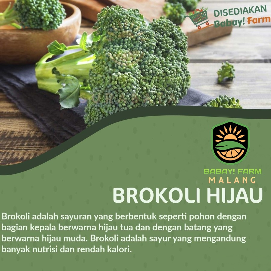 

Brokoli Hijau 250 500 gr / 1 kg