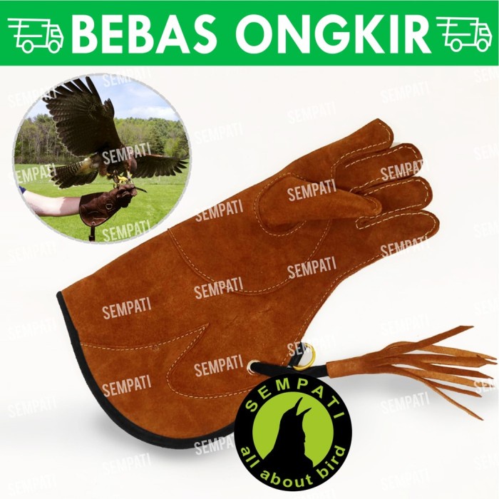 Glove Glove Falconry Kulit Import Sarung Tangan Burung Hantu Elang Alap Glvk