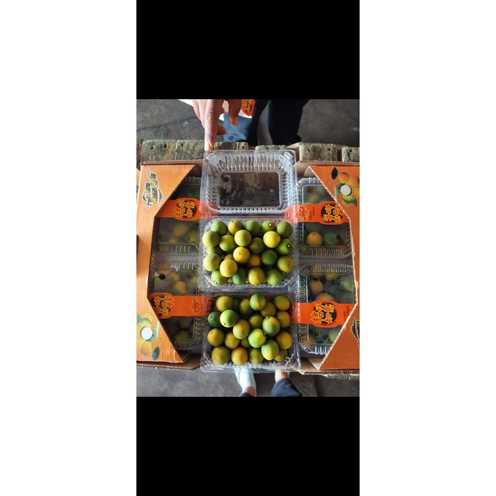 Jual Jeruk Kimkit (PACK) | Shopee Indonesia