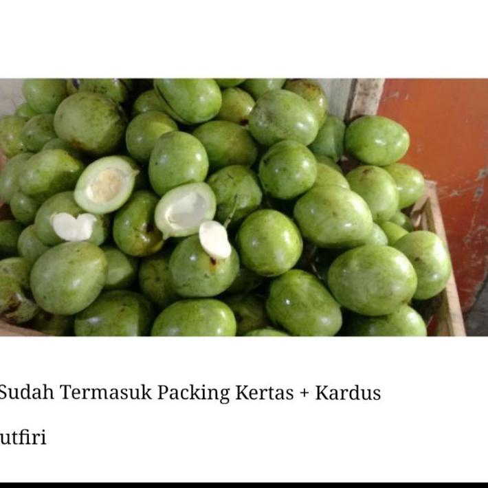 

AUN697 Mangga Telor atau Telur Muda Mentah 1 kg belah biji asem segar fresh rujak manisan asinan ^^