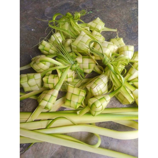 

Cangkang ketupat super rapih 10 buah