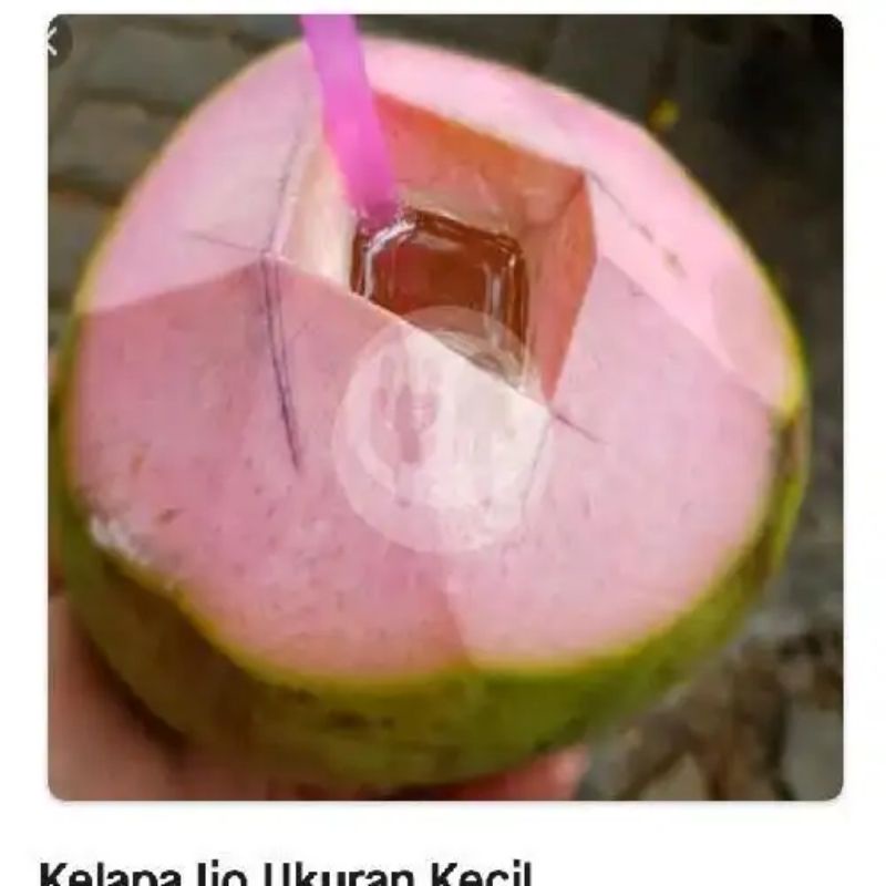 

buah Kelapa muda CM