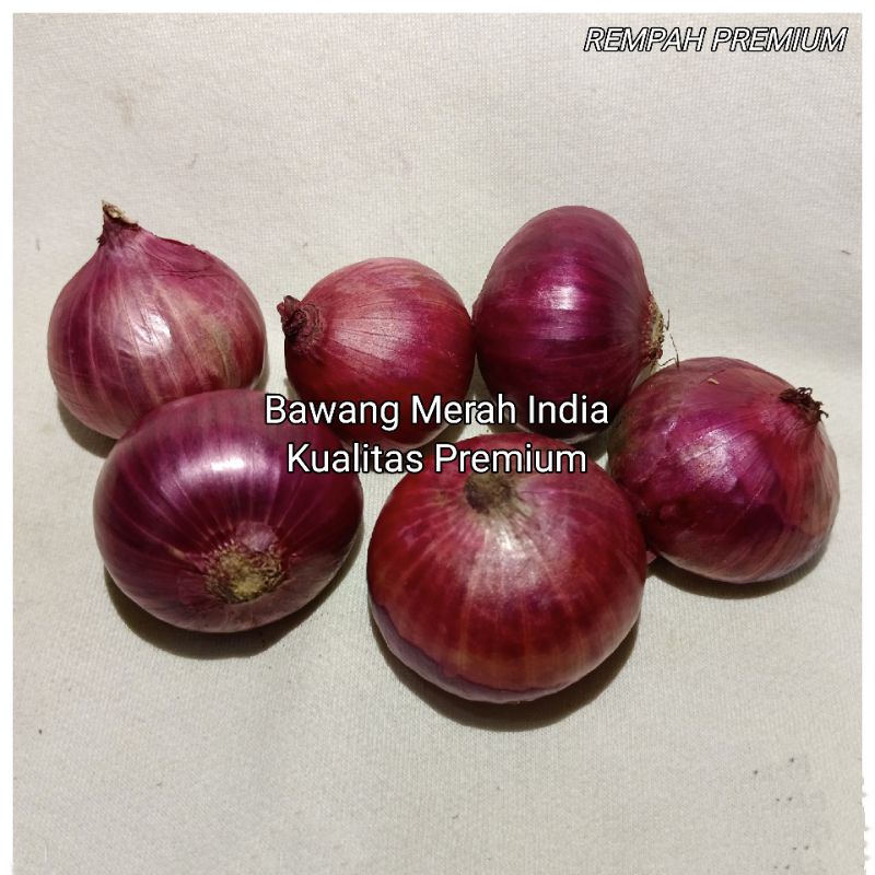 

Bawang Merah India 1 Kg Fresh - Rempah premium