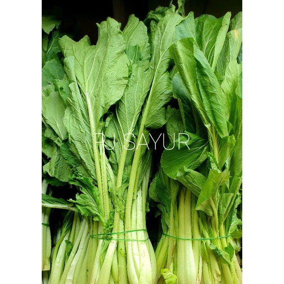 

Cesim Sawi Hijau 1 kg