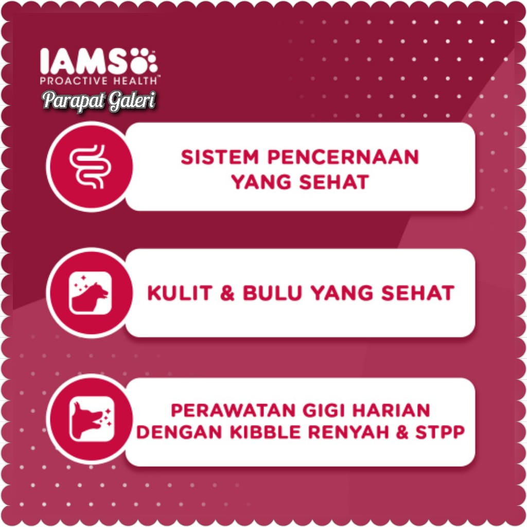 IAMS Dog Adult Small breed Makanan Kering Anjing Dewasa Ras Kecil Proactive Health 450gr