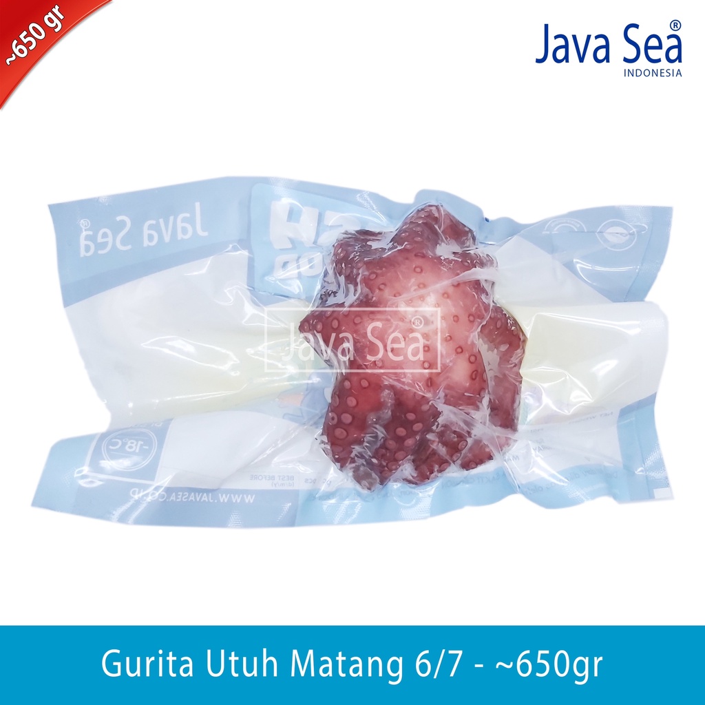 

JAVA SEA Gurita Utuh sudah matang 6/7 pack 650gr