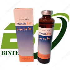 Vitamin B12 Ternak 50 Ml