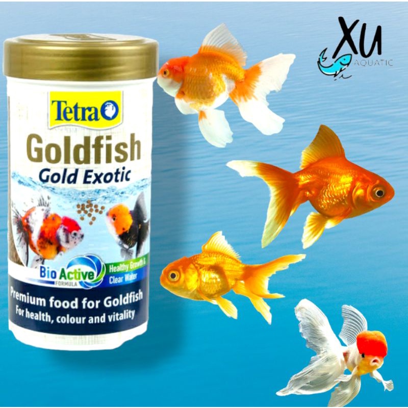 TETRA GOLDFISH EXOTIC 75 GRAM 250 ML PAKAN PELET IKAN GOLDFISH TETRA GOLDFISH GOLD EXOTIC