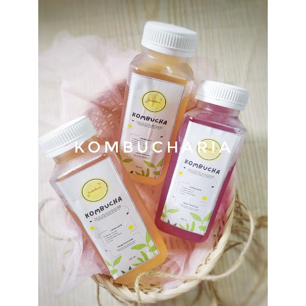 

promoooo! teh kombucha siap minum isi 3 botol