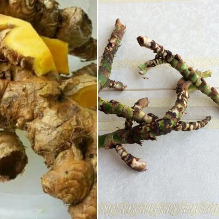 

Ide3E8q PAKET 100 GRAM BANGLE / BENGLE DAN DLINGO / DRINGO / JERINGAU