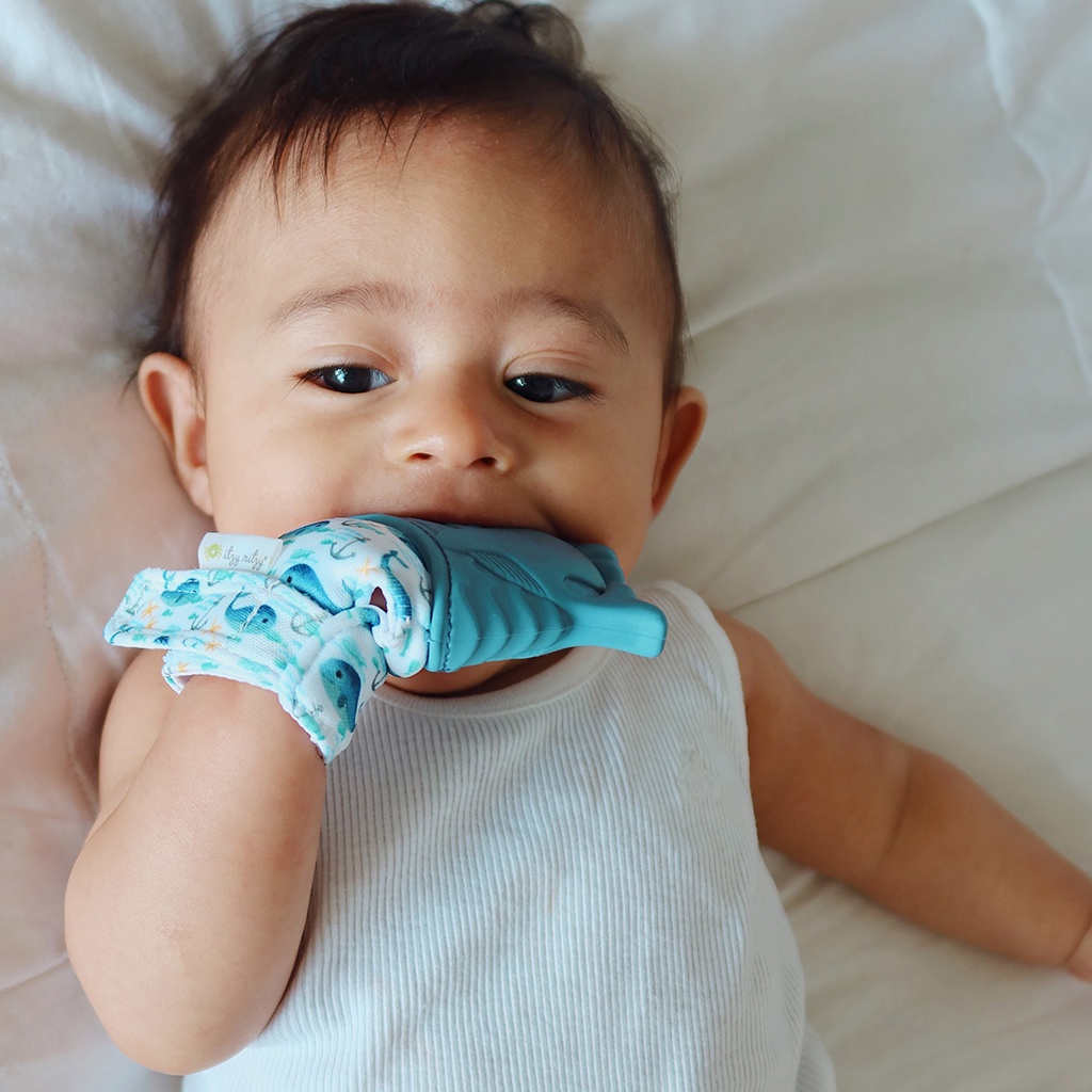 Itzy Ritzy Itzy Mitt Teething Mitts | Sarung Tangan Gigitan Bayi