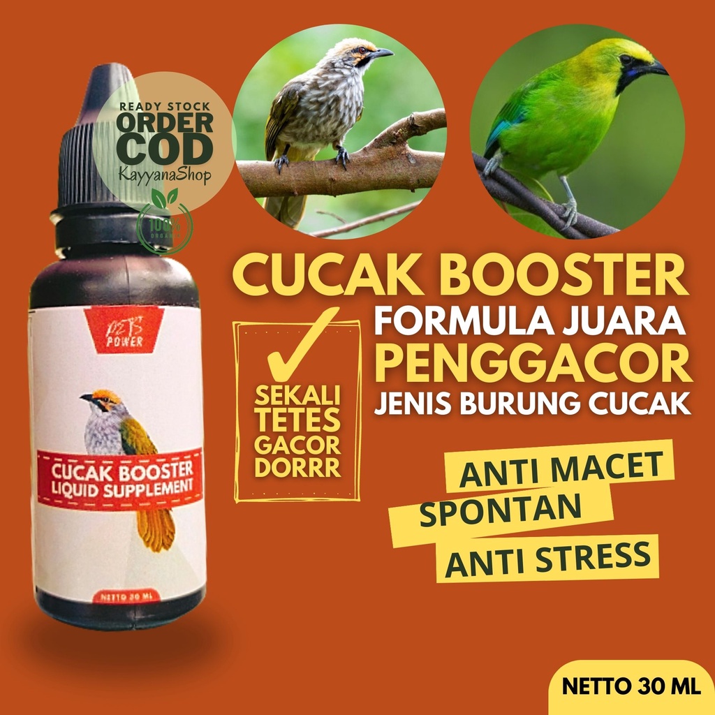 Vitamin Burung Cucak Ijo Buat Lomba / Vitamin Burung Cucak Rowo / Vitamin Burung Cucak Ijo / Vitamin