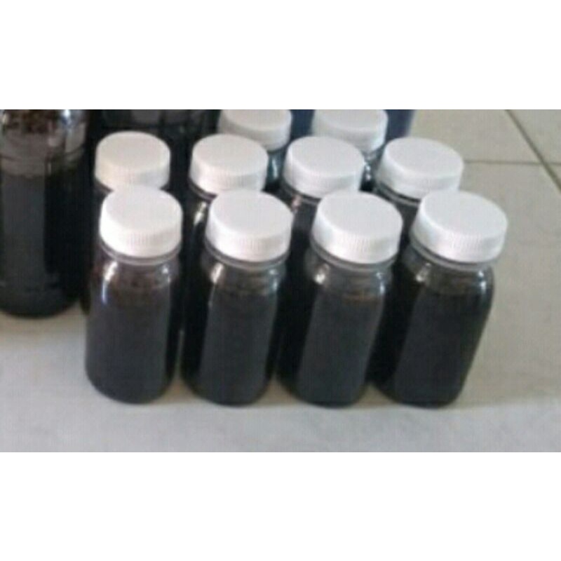 

Madu hutan akasia - 100% original - 100gram