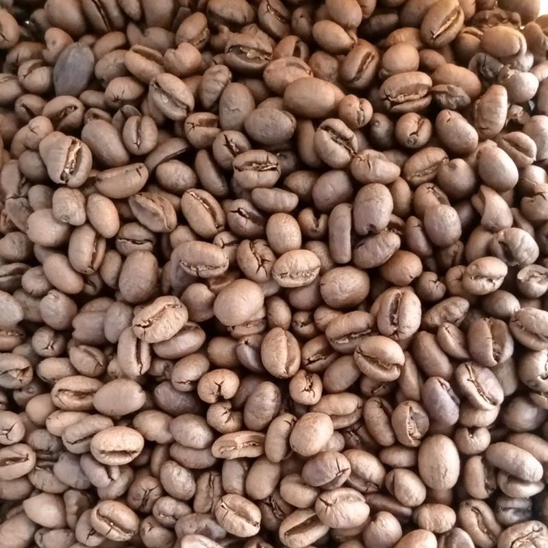 

arabica anaerob roasted bean semeru