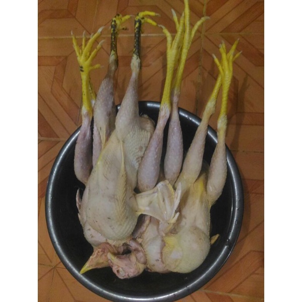 

jual Daging 4yam kampung