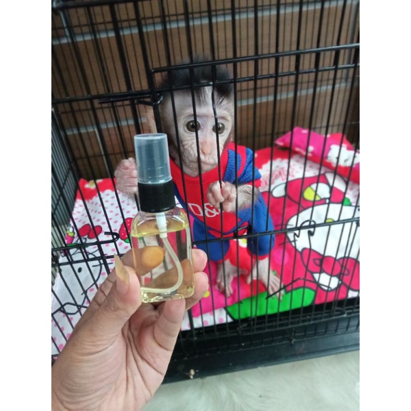 baby oil monpai .baca diskripsi di bawah sebelum buat pesanan