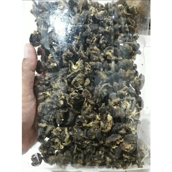 

KERIPIK BEKICOT UTUH ORIGINAL TANPA TEPUNG