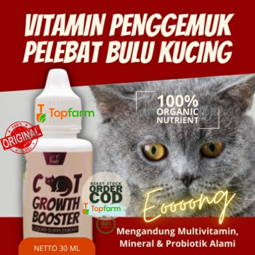 Vitamin Penggemuk Kucing Anggora / Vitamin Penggemuk Kucing Kampung 30mL / Vitamin Penambah Lahap Ma