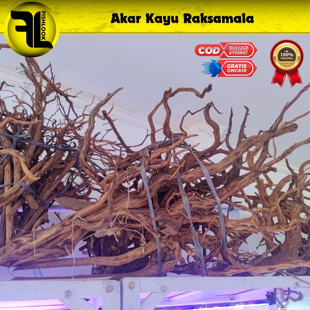 KAYU AKAR RASMALA UNTUK AQUASCAPE SIZE S M L