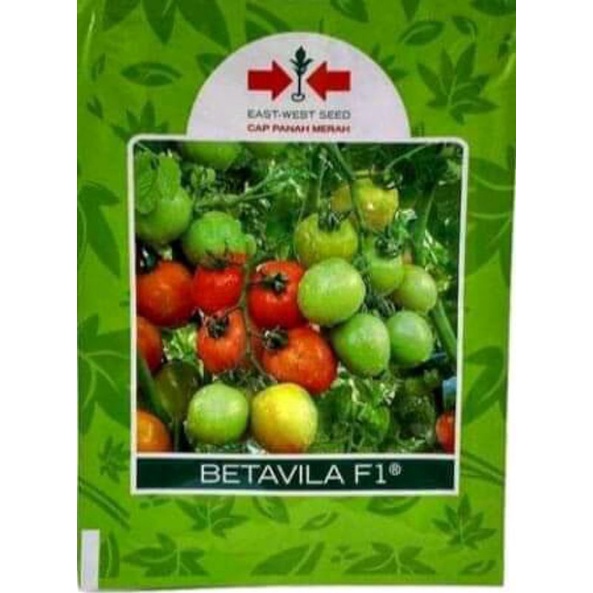 Benih Bibit Tomat Betavila F1 10gr