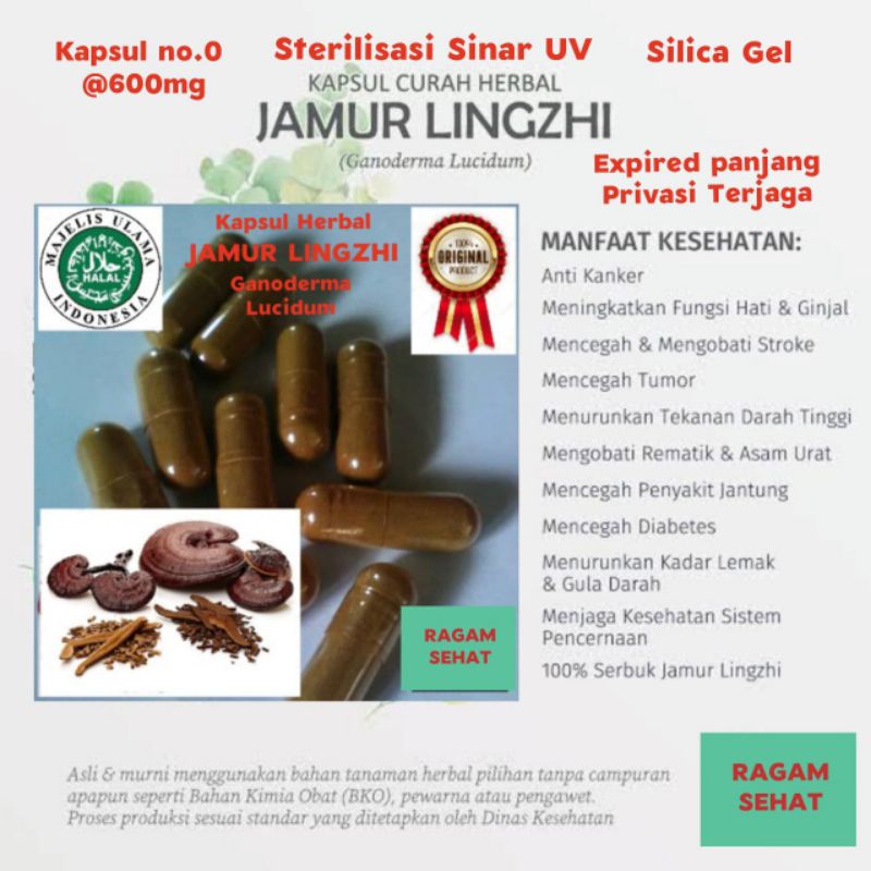 KAPSUL BUBUK JAMUR LINGZHI HERBAL JAMU OBAT CURAH 100 BUTIR