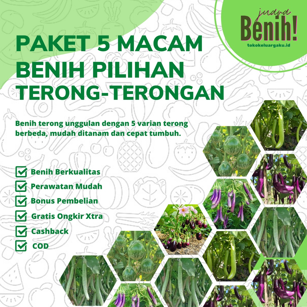 Paket 5 Macam Benih Sayuran Terong F1 Hibrida Bibit Sayur : Terong Lalap Ungu Hijau Telunjuk Panjang