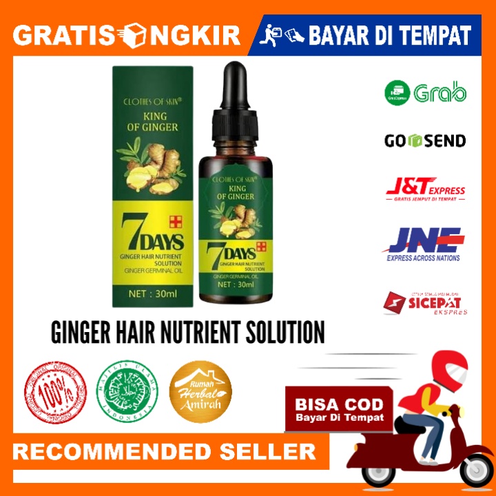 King Of Ginger 7 Days Penumbuh Rambut Botak 30ml Original