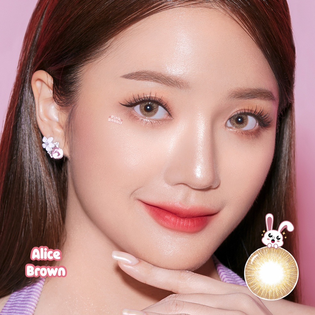 Pink Rabbit Softlens Minus Alice Brown Soflens Coklat