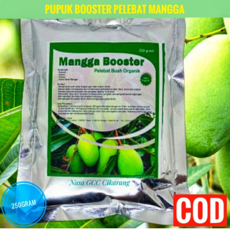 PUPUK ORGANIK BOOSTER PELEBAT BUAH MANGGA