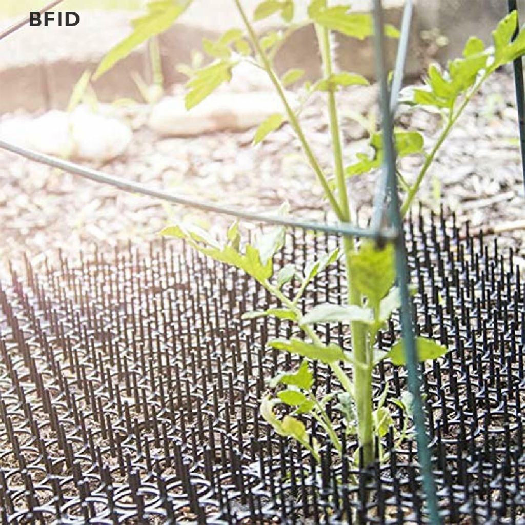 [BFID] Garden Prickle Strip Gali Stop Cat Repellent Jera Tikar Spike Portable [ID]