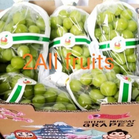 

Terjangkau Buah Anggur Import Shine Muscat Fresh 1Pack Heiyyaluv