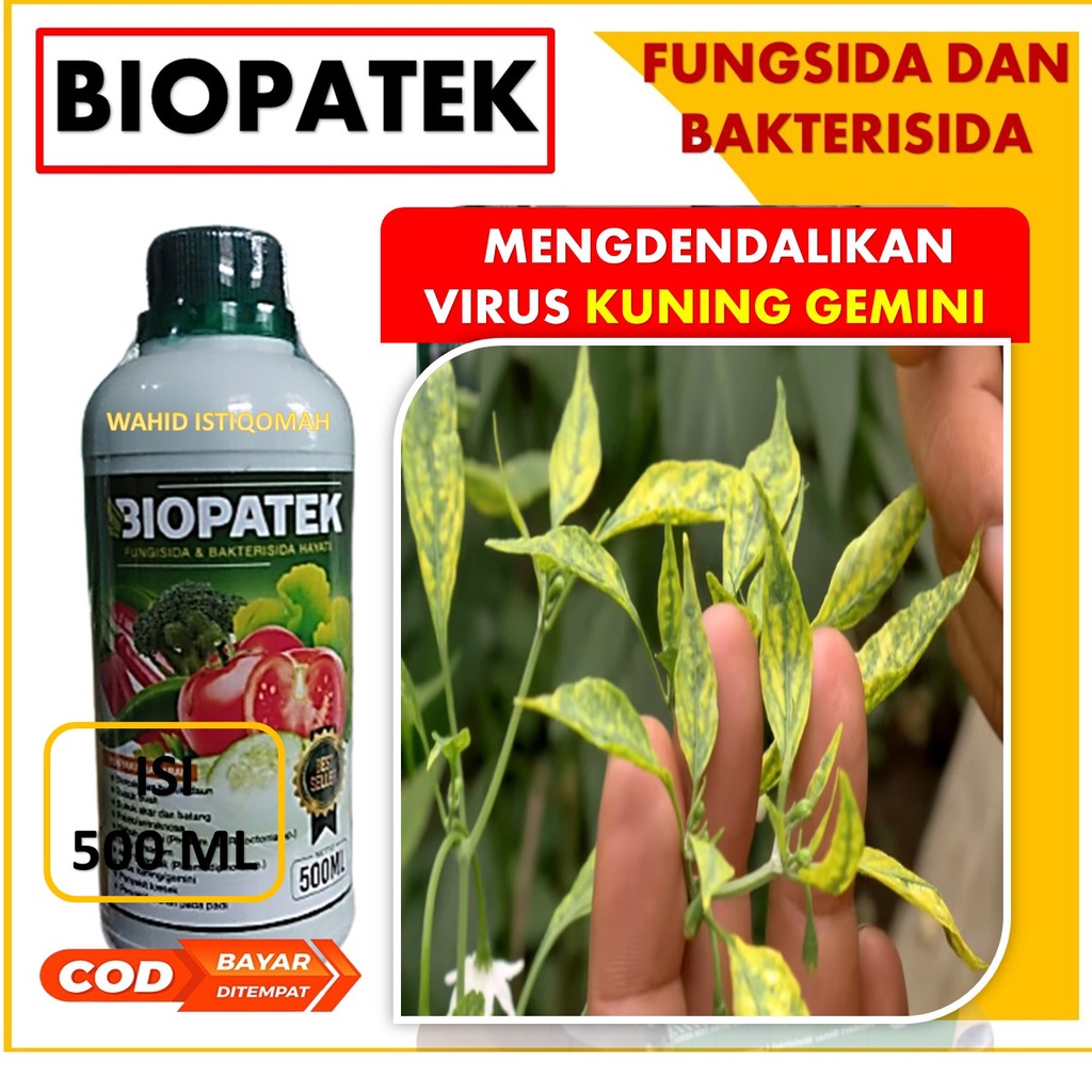 PROMO BIOPATEK Fungisida Hama Virus Kuning/Gemini Bawang Daun , Pupuk Organik Hama Virus Kuning/Gemi