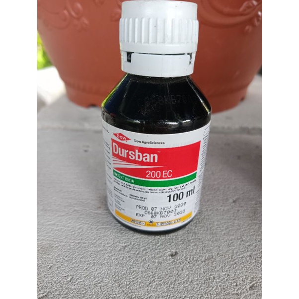 Pembasmi hama Dursban(INSEKTISIDA)