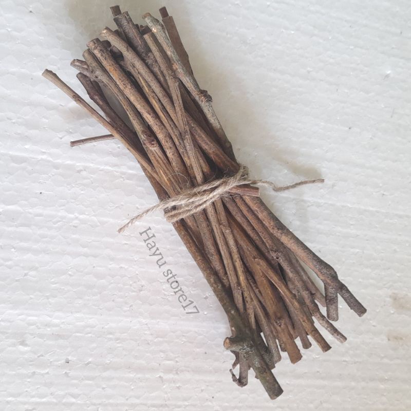 Ranting kering untuk prakarya Ranting kayu
