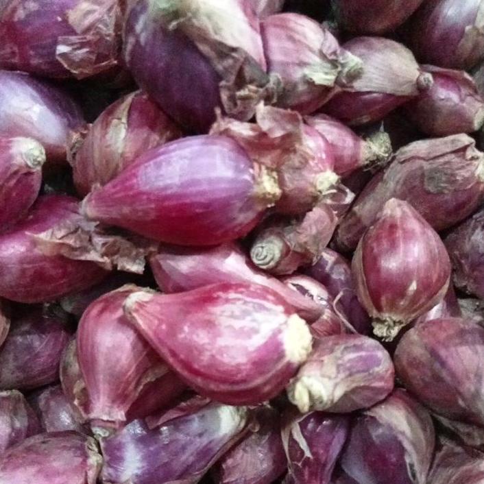 

NIS145 BAWANG MERAH BREBES UKURAN SEDANG 1 KG ||