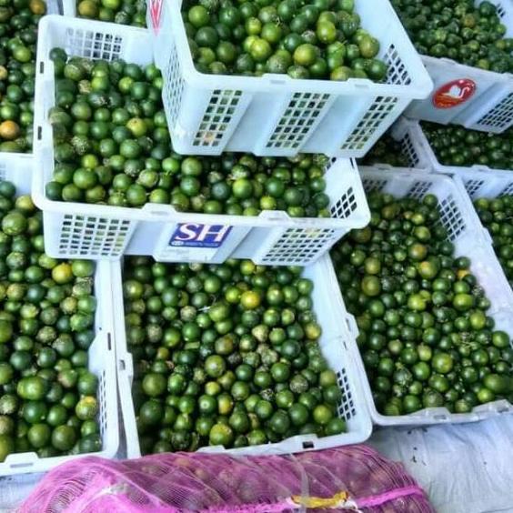 

WWA150 Jeruk sonkit kunci lemon cui kasturi 500gr |
