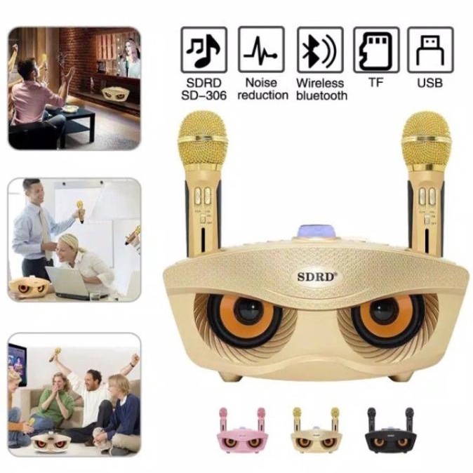 Speaker SDRD Karaoke 2 MIC Portable Wireless Bluetooth SD-306 SD 309